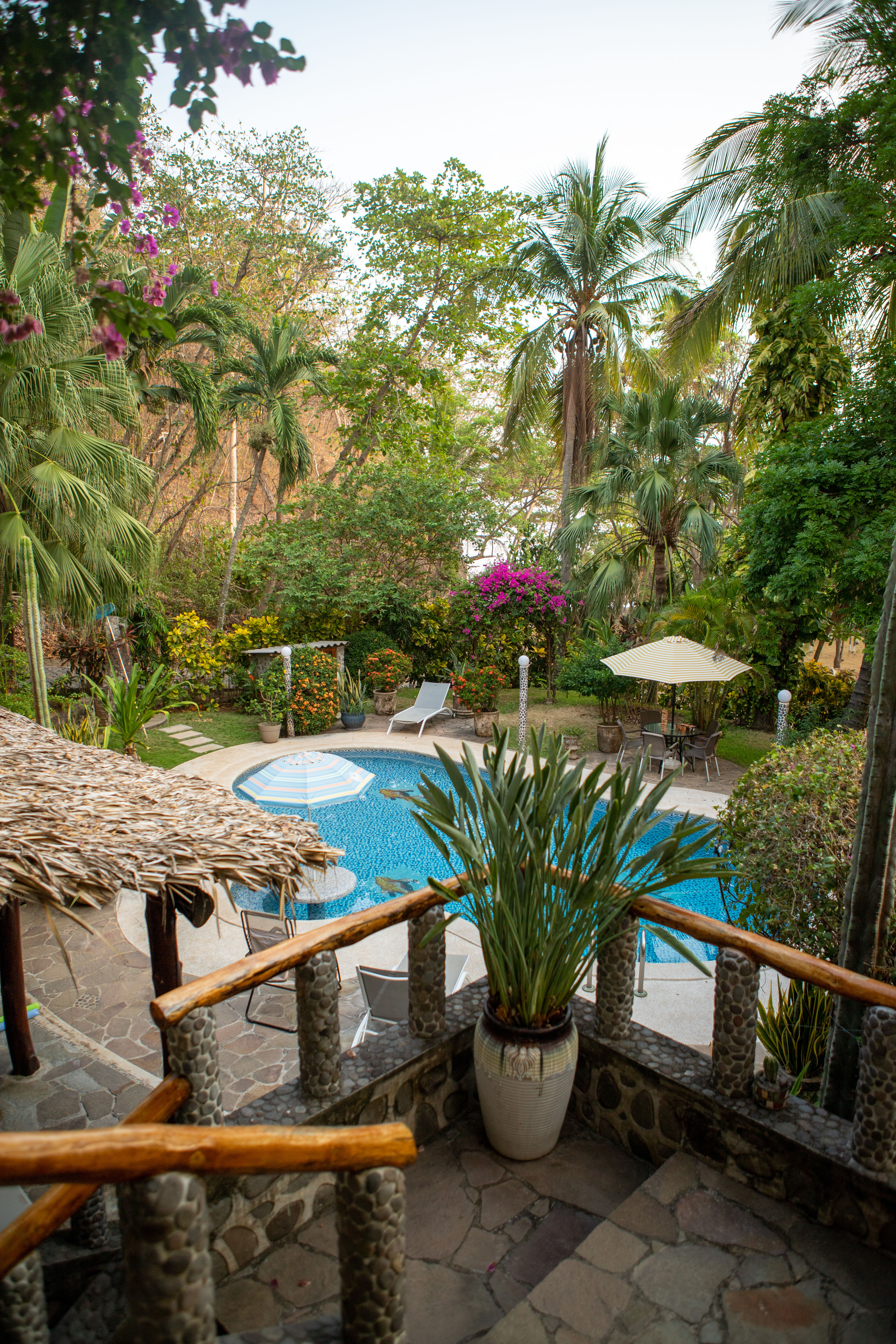 Pool deck with lounge chairs